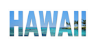 create a custom website banner  100 pc professional