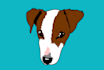 draw your pet in a fun colorful style