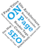 professionally perform Complete On Page SEO