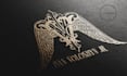design vintage or family crest logo design