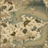 draw high quality professional fantasy map for dnd campaign, roleplaying, books