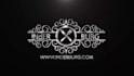 do custom luxury logo animation intro