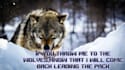 write quotes on images