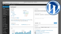design a full auto responsive worldpress and host it for you