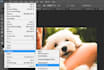 resize your images to your desired size