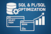 manage, optimize, and maintain oracle or sql database professionally