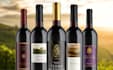 do professional and print ready wine label design