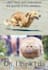 do memes of your pet, on request