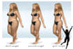 deliver a high convertion weight loss auto responder series