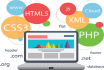 develop custom web application