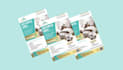 do awesome flyer, poster, brochure for you in just 5hrs