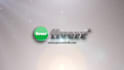 make Flares Logo Reveal