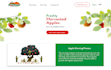 do your squarespace website redesign or update