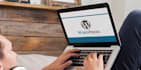 fix wordpress errors, issues and bugs