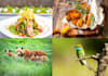 make your images look professional using photoshop lightroom