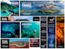 design attractive website banners