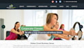 build a wordpress website with elementor or custom theme