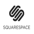 make professional squarespace website and edit content