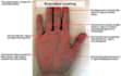 do a combined psychic palm reading for you within 24h