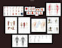 do realistic medical illustrations