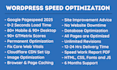 do wordpress speed optimization for google pagespeed insight