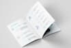 design a professional business brochure and flyer