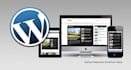 develop a wordpress website,  woocommerce solution provider