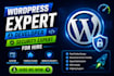 work for 1 hour related to wordpress or website