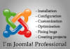 help you to create professional Joomla website and solve your problems, plus 10 days support