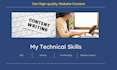 be your SEO website content writer
