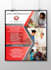 design you attractive posters brochure flyers etc