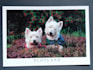 send a postcard from scotland with free shipping