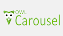 customize bootstrap carousel or owl carousel or slider