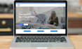 create a professional wordpress website
