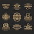 do retro luxury and heraldic logo in 6 hours