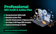 do a professional SEO audit and create an action plan