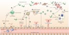 create scientific figures illustrations and diagrams