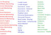 create 100 High Quality Articles in up to 5 categories using Article Builder