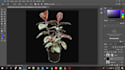 remove background using clipping path and layer mask