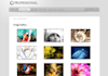 create this Website with Professional Web Design