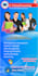 create flyers, certificates and provide typing services