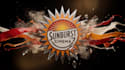 create a professional custom made 3d logo animation for you
