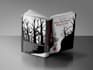 design or fix cover for amazon KDP or ingramspark