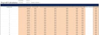 prepare ms excel payroll