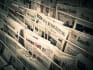 rewrite business and digital marketing article
