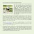 write a high quality 100 to 300 word piece, free editing
