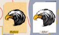 expert vector tracing and raster to vector services