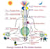 send you distant second degree kundalini reiki attunement