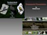 design a PDF presentation