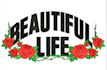 provide professional custom embroidery digitizing services